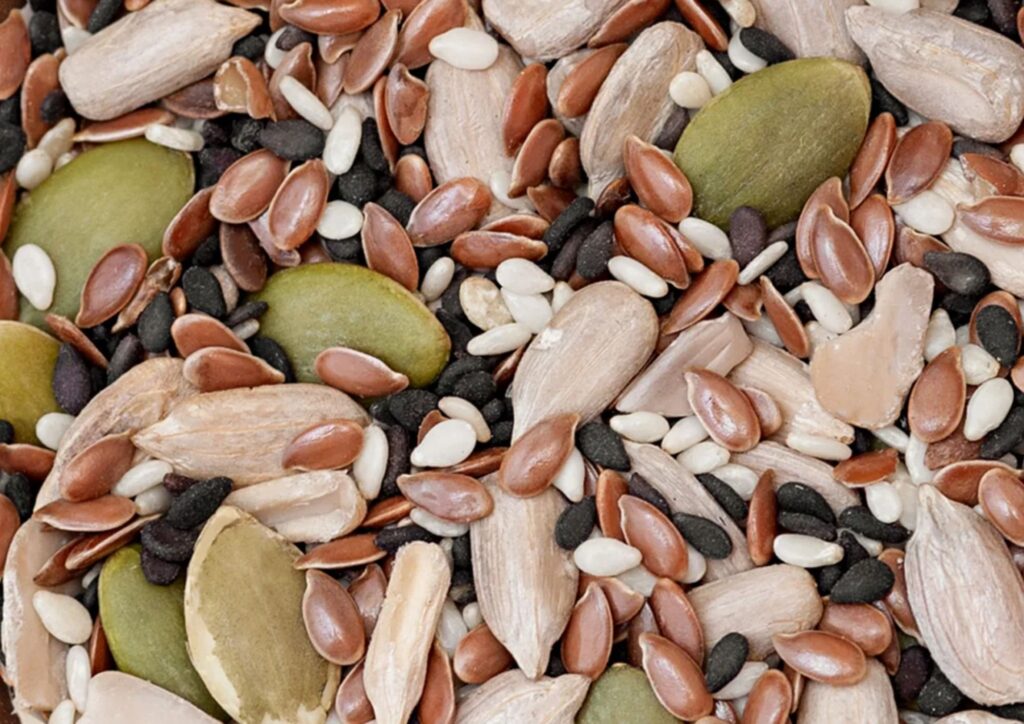 edible seeds